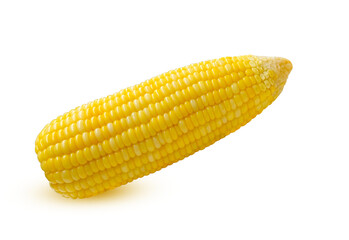  Sweet boiled corn  a white background on transparent.