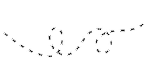 Silhouettes of ants marching in neat lines, showcasing teamwork and organization, Ant Trail Illustration - Black Line Ants Design
