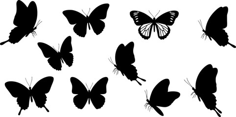 Black and White Butterfly Silhouette Design: Elegant Vector Illustration
