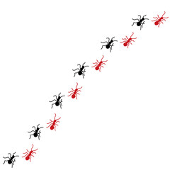 Silhouettes of ants marching in neat lines, showcasing teamwork and organization, Ant Trail Illustration - Black Line Ants Design