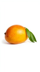 mango fruit 
