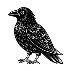 vector illustration of a bird
