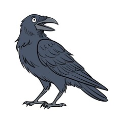 crow on a white background