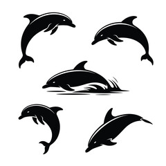 Fototapeta premium Five black dolphins jumping and splashing water ocean