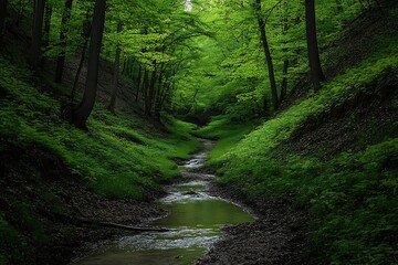 Obraz premium forest in the morning