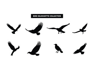 Vector Bird Silhouette Collection, Flying, Perching, and Soaring Birds for Graphic Design