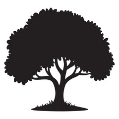Stylized Bonsai Tree Illustration
