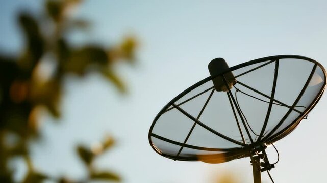 Satellite Dish Under Blue Sky with Bokeh Tree Branches during Golden Hour for Communication and Technology