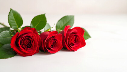 Obraz premium やさしく咲く赤いバラ − 柔らかな光に包まれた華やかな花素材薔薇 Soft Red Roses in Bloom – Elegant Floral Image in Gentle Light