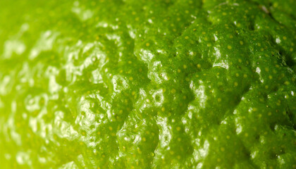 鮮やかな緑が美しいライムの表皮テクスチャ &ndash; フレッシュでリアルな柑橘マクロ素材
Vivid Green Lime Peel Texture &ndash; Fresh and Realistic Citrus Surface Macro
