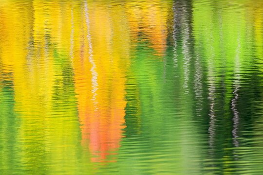 abstract colorful background