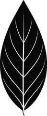 Single bay leaf silhouette simple design element © Abdul