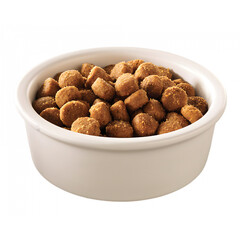 Close up of a white bowl filled with crunchy brown kibble dog food against a black background