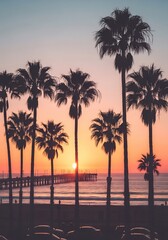 Obraz premium Silhouetted palm trees against horizon