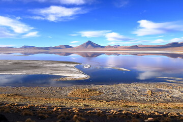 Aerial view of Laguna Colorada with flamingos and mountain reflections, Bolivia