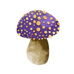 mushroom on a white background autumn fall