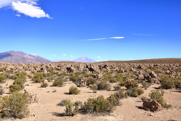arid highlands in the sud lipez region, Bolivia