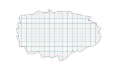 A scrap of checkered paper