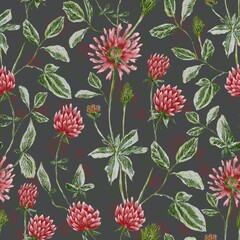 Seamless pattern with clover flowers hand drawn with colored pencils and watercolor