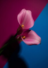 Simple minimalist flower photography