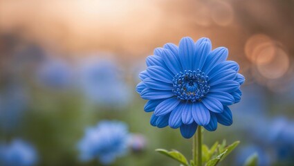 A stunning blue flower stands out in a vibrant field.