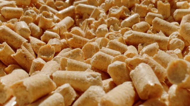 A cat litter box is filled with absorbent wood pellets designed for easy cleaning and odor control The litter looks fresh and is scattered evenly for comfortable use