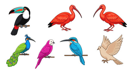 Obraz premium Vector colorful bird species illustration featuring toucan ibis peacock parrot kingfisher and dove artwork