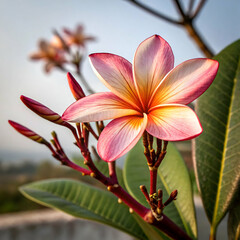 Naklejka premium Discover Natural Flower Types for Home Gardens With Seasonal Color, Petal Texture and Fresh Aroma