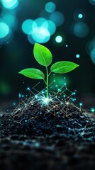 Sprout Growing From Soil With Light Effects
