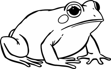 vector illustration of a frog