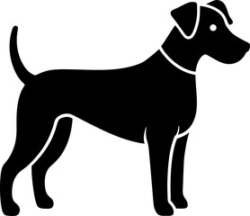 dog isolated on white