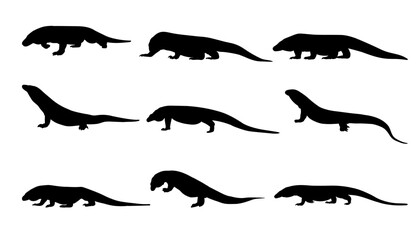 illustration silhouette animal komodo collection set