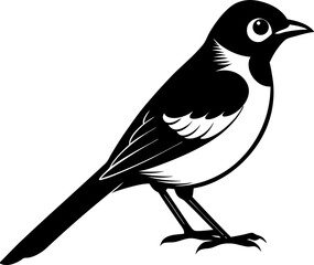 black crow on white background