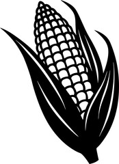 corn cobs vector