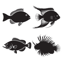 Silhouettes of Various Fish Species in Black and White