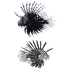 Silhouettes of Various Fish Species in Black and White