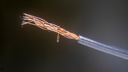 Close-up of copper electrical wire strands, showing detailed texture and twisted filaments. Ideal...