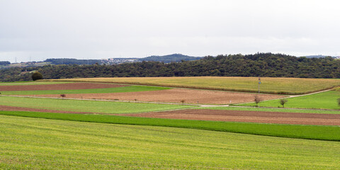 Wiesen