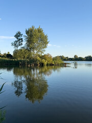 Tranquil summer landscape with tree reflections in a clear lake, forested shoreline and blue sky. Perfect for nature, relaxation, and eco-themed concepts.