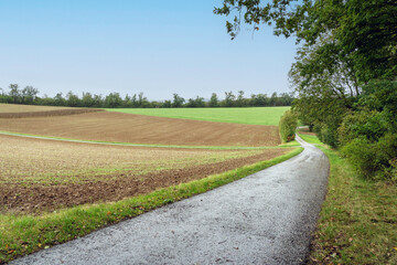 Landscape