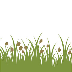 Silhouette of Grass and Plants