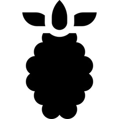 A simple black silhouette icon of an aggregate berry, such as a raspberry or blackberry, with a stem and leaves.