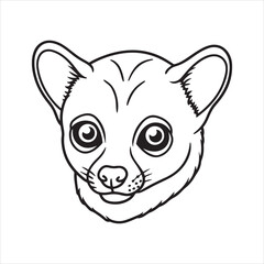 Jungle Nightcrawler: The Mysterious Charm of the Kinkajou