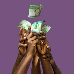 Many black African hands reaching out for Algerian dinar notes money over purple background. Stretching arms for cash