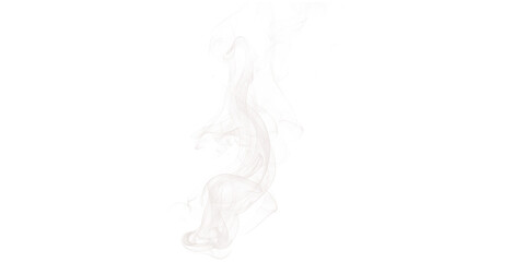 Abstract representation of a swirling white form against a stark black background with glitch...