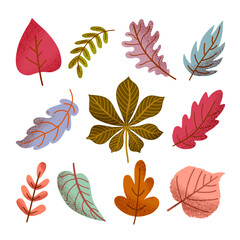 Fototapeta premium Cute collection of autumn leaves in warm and soft tones. Hand-drawn textured foliage for seasonal decor, stationery, icons, stickers, kids books, or fall-themed designs.