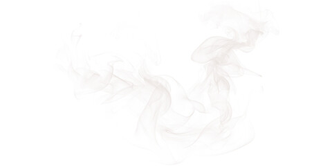 Abstract image of swirling white smoke or vapor against a stark black background creating a dynamic effect
