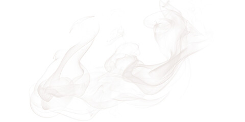 Abstract image of two white axolotls swimming in a black background with glitchy pixelation effect