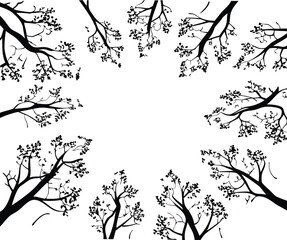 Serene Canopy: A minimalist perspective from below, revealing a circular frame of stark tree branches against a pure canvas, evoking tranquility. 