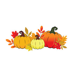 autumn composition with pumpkins, autumn leaves and berries